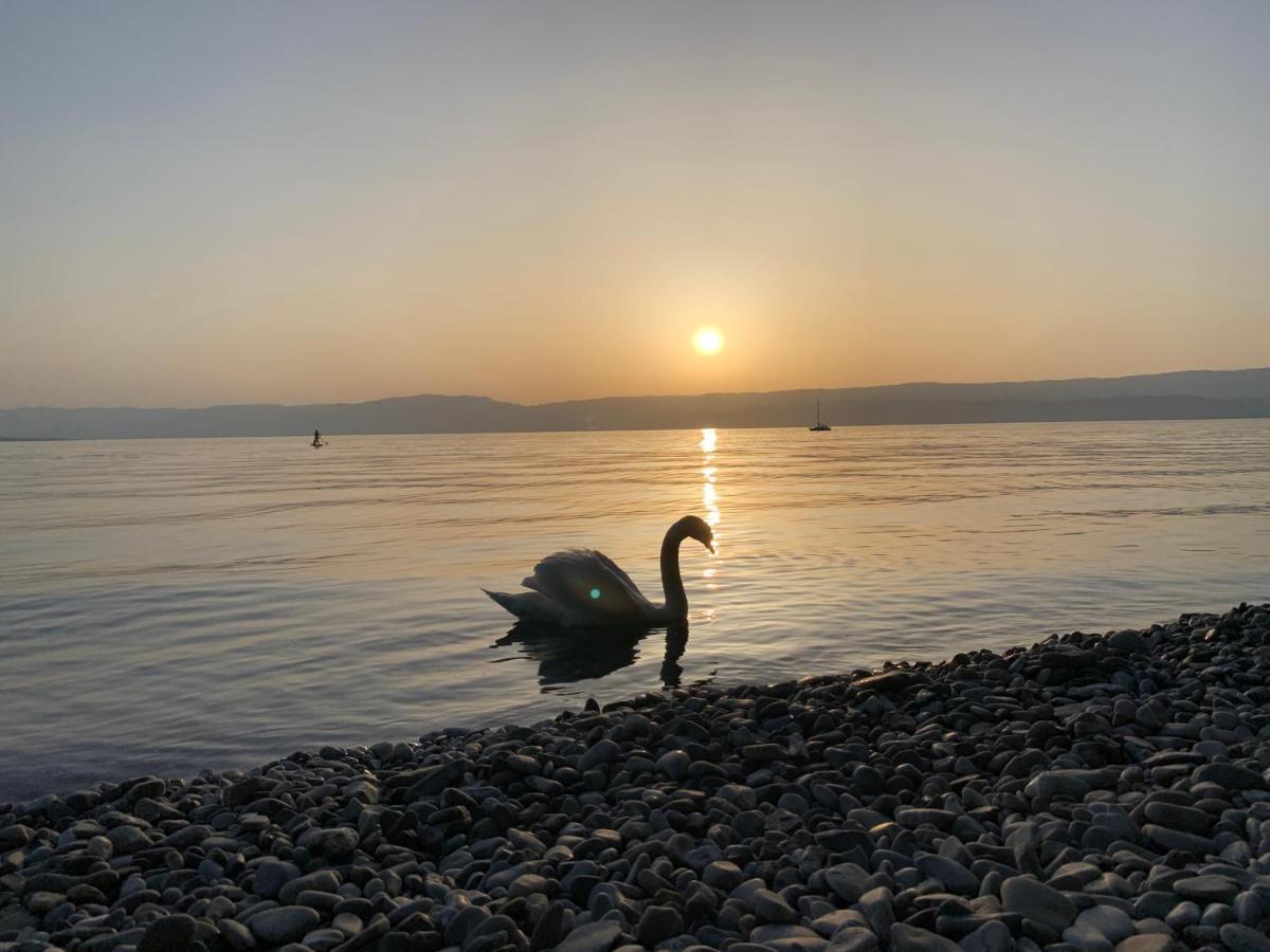 Chez Mat Bed & Breakfast Thonon-les-Bains Luaran gambar