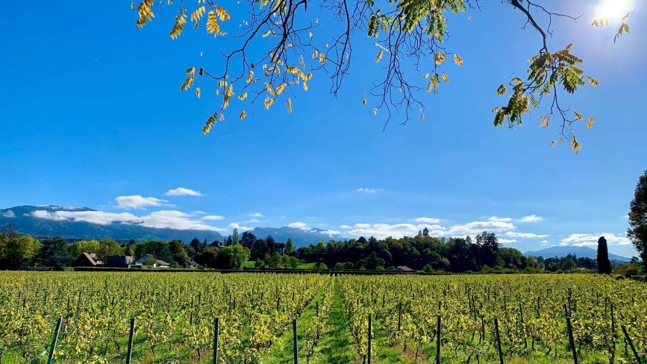 Chez Mat Bed & Breakfast Thonon-les-Bains Luaran gambar